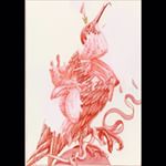 @arghrist_prints Web Drop is a couple days away! Here's a preview. •
Red and Royal: A solo show by Andrew Ghrist
•
#exhibition #redandroyal #birds #drawing #andrewghrist #galeriefu