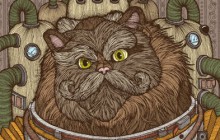 WhiskersSmall