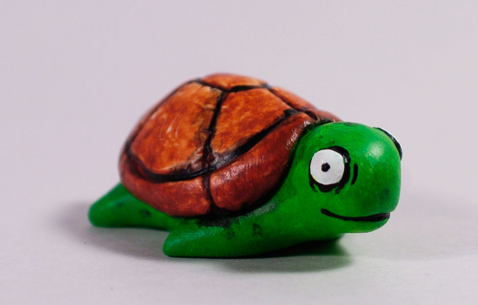 TurtleDetail