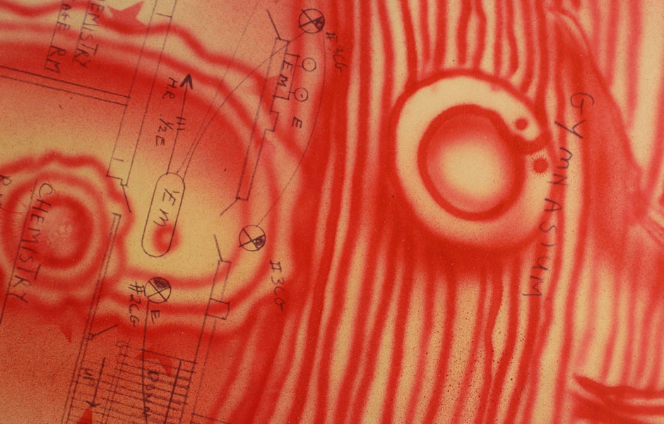 TimeDragonWoodDetail