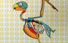 FUG-FINCH-SMALL