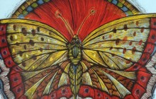 butterflyblueSmall