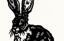 AnnaHasseltine-JackRabbit-AP02